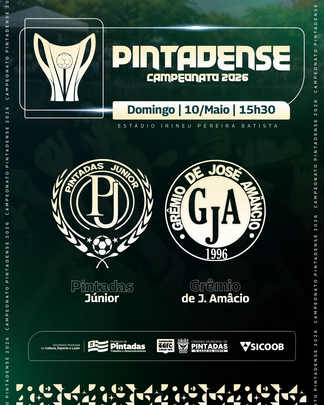 Publicação 3